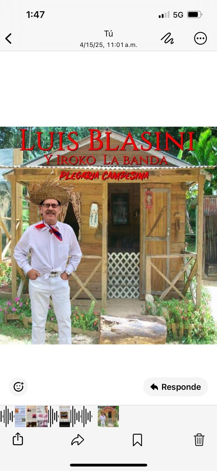 Luis Blasini